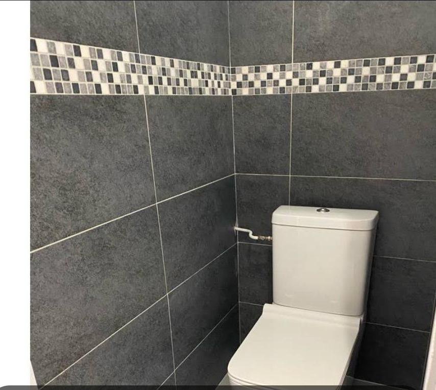 WC après travaux : faïence grise grand format et frise mosaïque